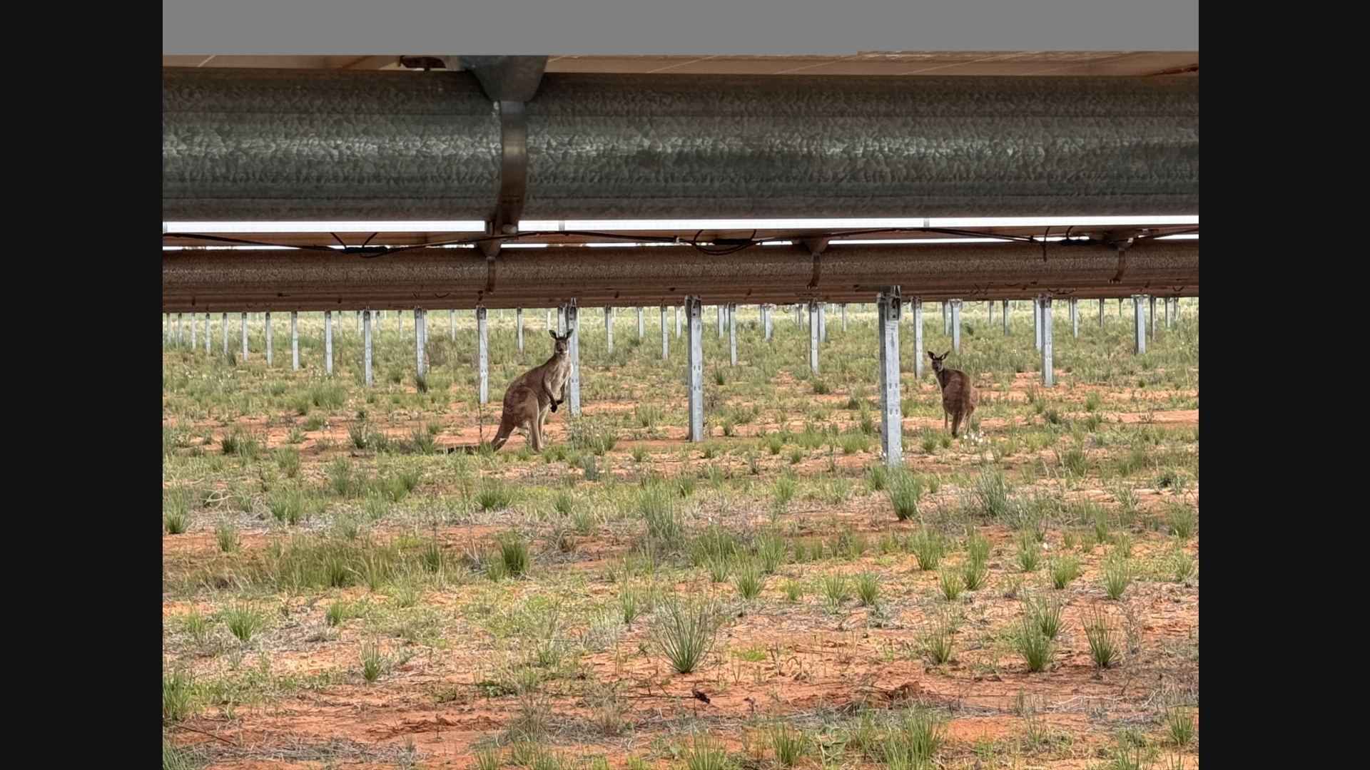 Proyecto de almacenamiento energético de Solarig en Australia