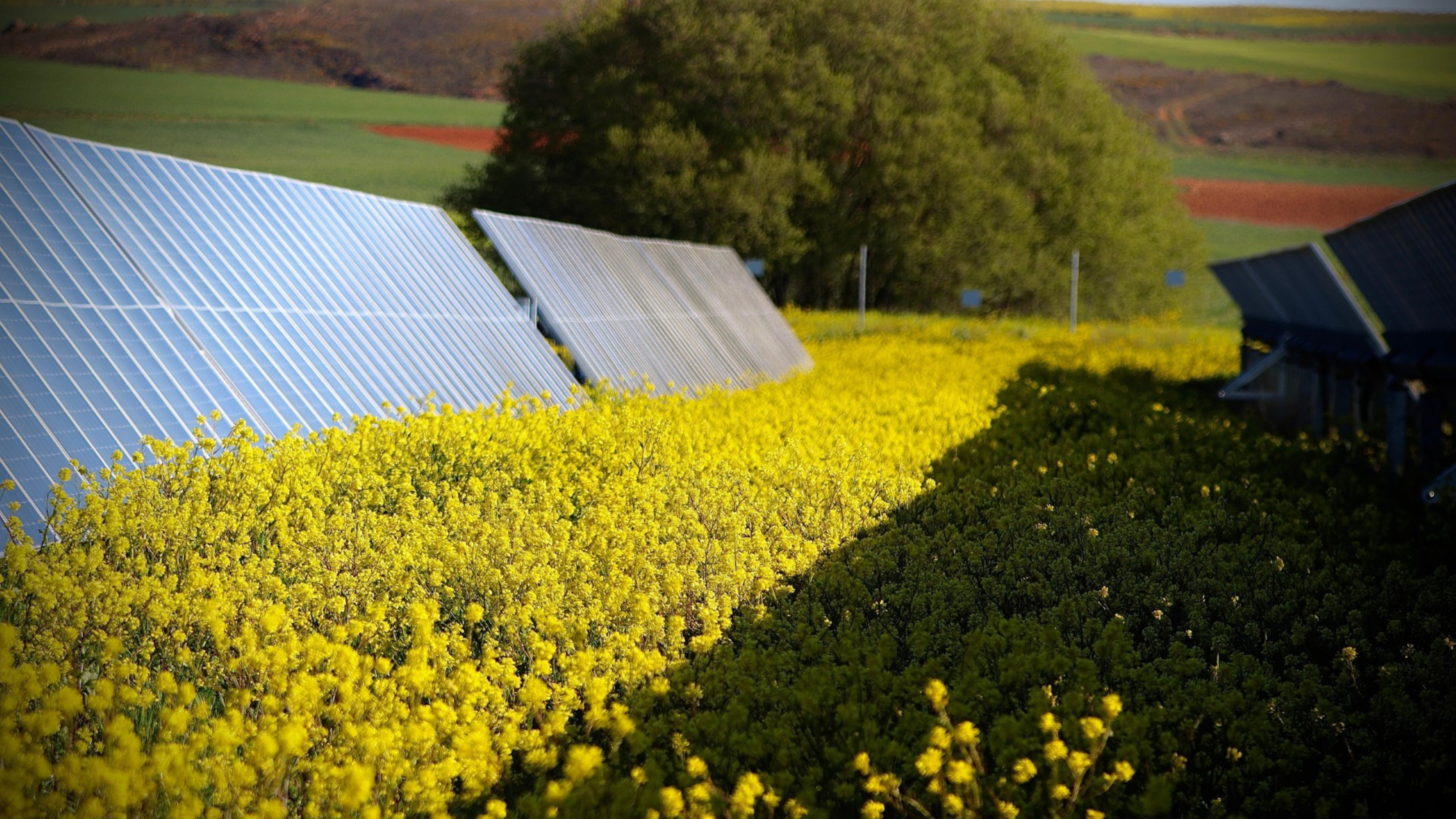 Mantenimiento civil de planta solar