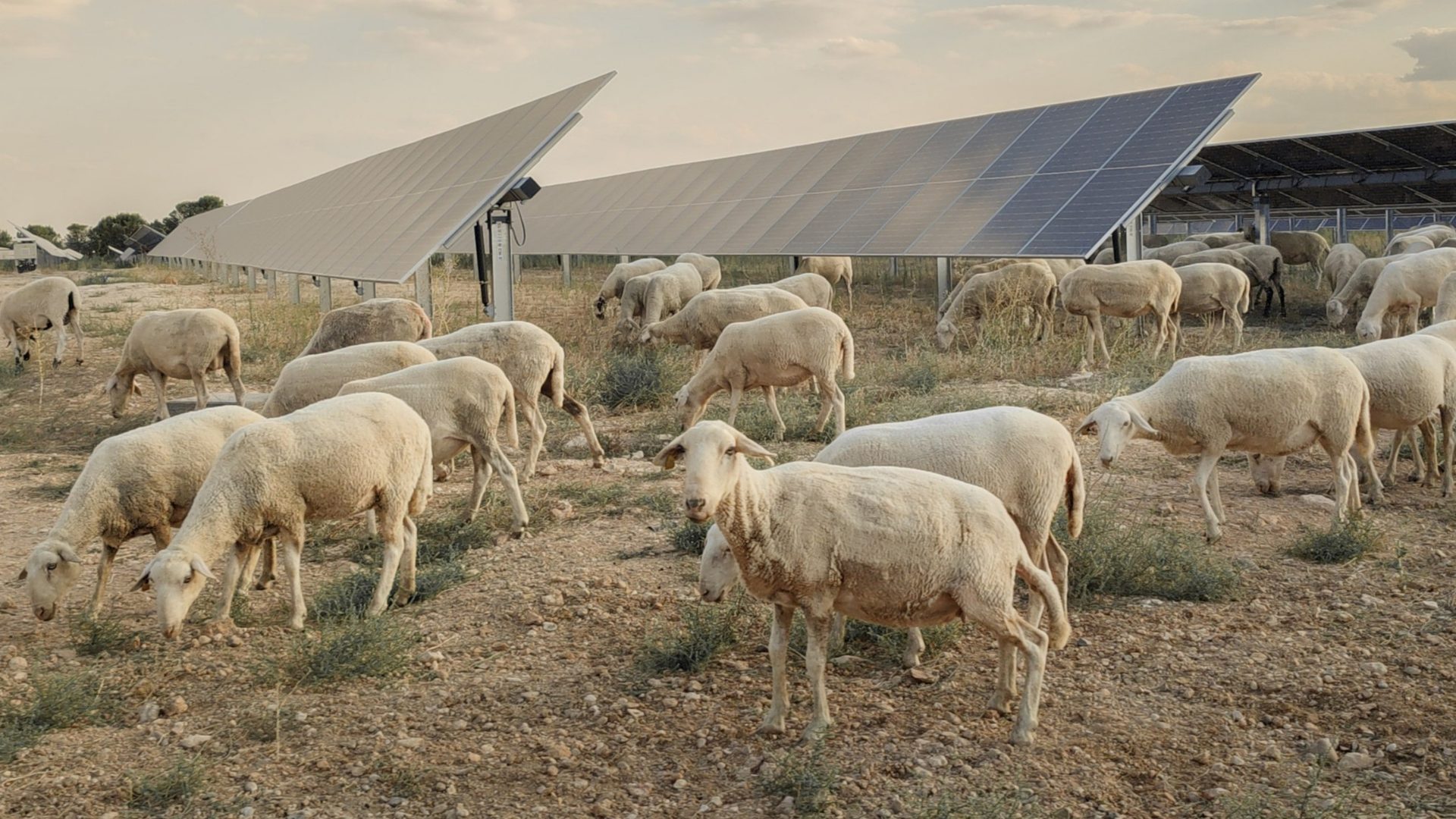 Tecnología aplicada a la transición energética