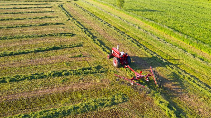 Gestión de la red agro